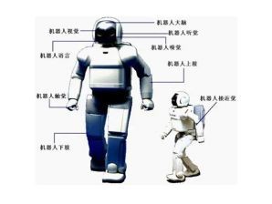 <b>位移传感器在智能机器人行业中的应用</b>