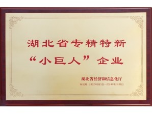 <b>专精特新小巨人</b>