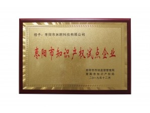 <b>枣阳市知识产权试点企业</b>