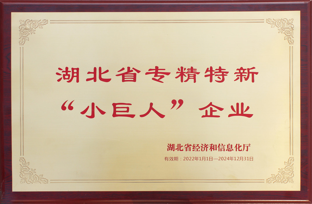 专精特新小巨人